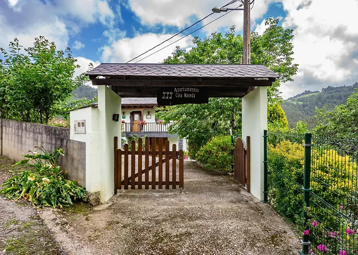 Maseda 1 * Villayón